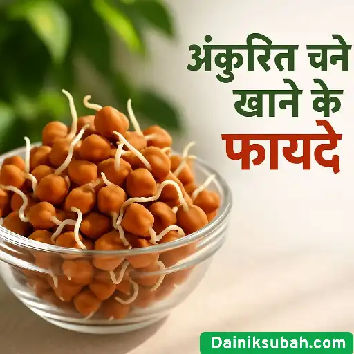 chana khane ke fayde chana ke fayde