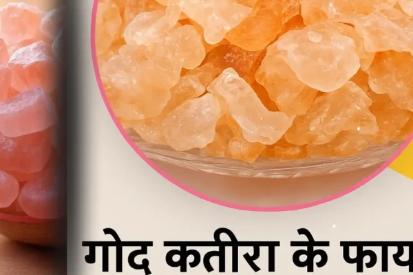 गोंद कतीरा के फायदे: जानिए इस प्राकृतिक औषधि के चमत्कारी लाभ gond katira benefits