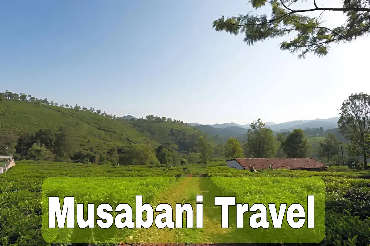 Musabani Travel
